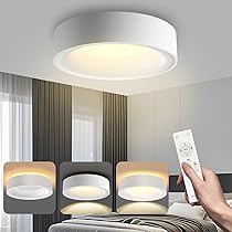 天井照明(取扱説明書・LED電球付き) ※1/1-1/4は発送対応が不可です。 5年保証】LEDシーリングライト 8畳 リモコン付 30W 無段階連続調光・調