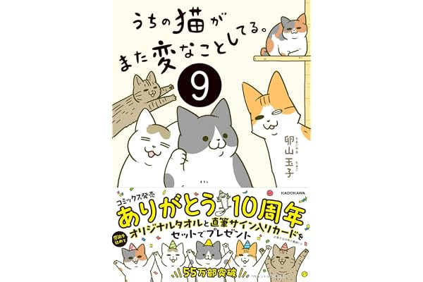 うちの猫がまた変なことしてる。9