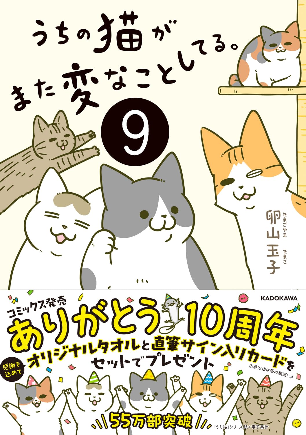 うちの猫がまた変なことしてる。9