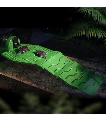 Amazon.co.jp: ビバリア バスキング&シェルター S サイズ