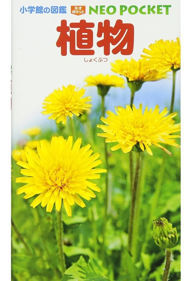 身近な草花〈街中〉 (ポケット図鑑) | 亀田 龍吉 |本 | 通販 | Amazon