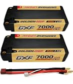 Amazon.co.jp: DXF リチウムポリマー電池、2S 7.6V 140C 4800mAh