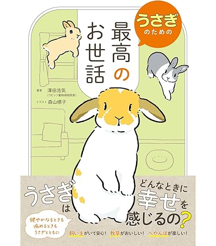 Amazon.co.jp: アクティブコーポレーション 2025年 カレンダー 壁掛け
