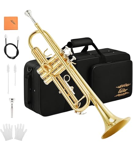 Amazon | MusicNomad プレミアムバルブオイル&チューニングスライド
