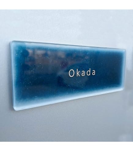 Amazon.co.jp: 光 ステンレス表札 高橋 6×20cm カットシート貼テープ付