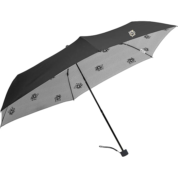 Amazon | DAVEK DUET UMBRELLA - 特大防風傘 自動開閉 (ブラック