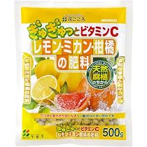 Amazon | サンベルックス(SUNBELLEX) SUNBELLEX マグァンプk入り 柑橘
