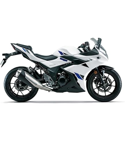 Amazon | Bruce & Shark(ブルース・サメ) gsx250r カウル 適用Suzuki