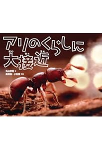アリのかぞく (かがくのとも絵本) | 島田 拓, 大島 加奈子 |本 | 通販