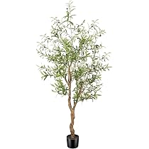 Amazon｜FEELEAD フェイクグリーン パキラ 光触媒 高さ150cm 人工観葉 