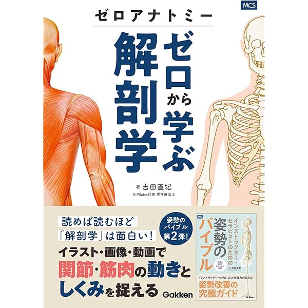 エッセンツァ人体解剖学アトラス | 大塚愛二, 佐藤二美, 大塚愛二
