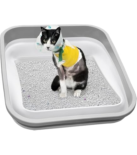 Amazon.co.jp: ペットセーフ Petsafe スクープフリー 猫用トイレ