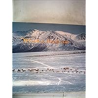 星野道夫の仕事 第3巻 | 星野 道夫 |本 | 通販 | Amazon