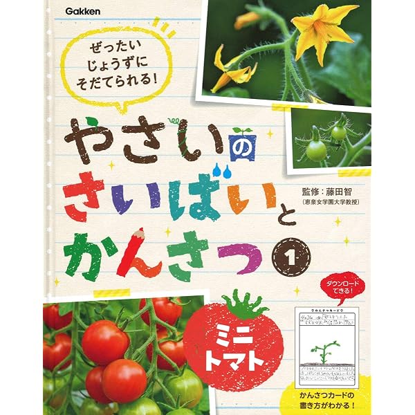 やさいのさいばいとかんさつ 全6巻 | 藤田智 |本 | 通販 | Amazon