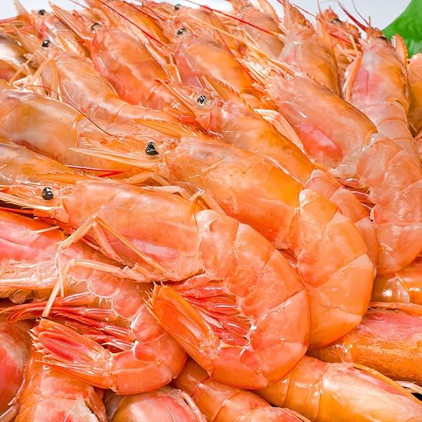 こえび
三柱台座 桶太鼓 Z/X -Zillions of enemy X- ちびゼク☆カワイイパニック！ | TCG