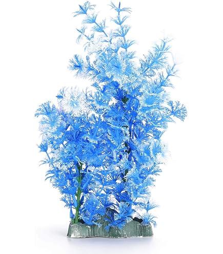 天然サンゴ砂 珊瑚砂 さんご砂 ろ材 海水水槽 ヤドカリ グッピー　20kg Amazon.co.jp: 天然サンゴ砂 珊瑚砂 さんご砂 ろ材 海水水槽 ヤドカリ