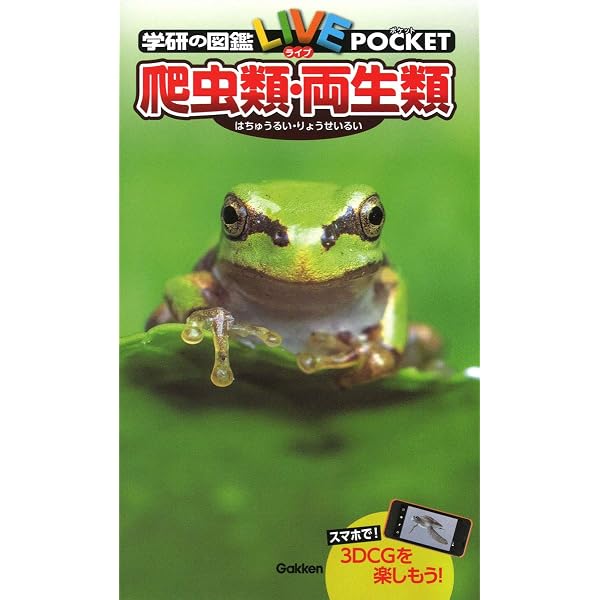 海岸動物の生態学入門: ベントスの多様性に学ぶ | 日本ベントス学会