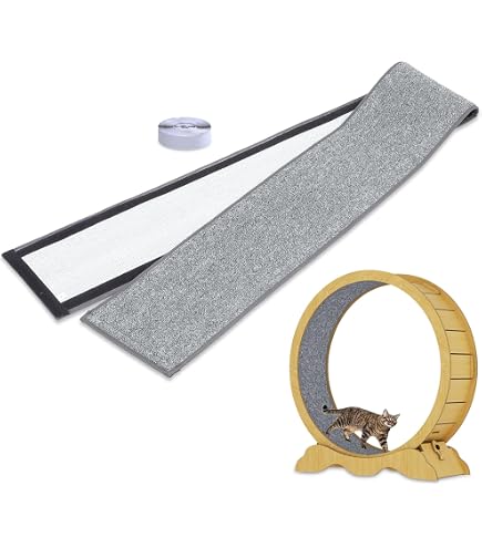 Amazon | ○B-blast キャットホイール ビーブラスト 猫用品 おもちゃ