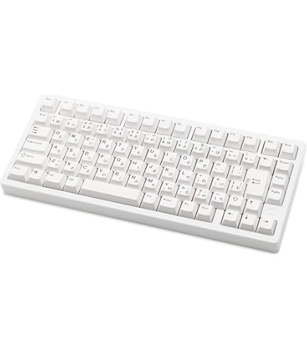 Amazon.co.jp: 東プレ RealForce 87UB 静音モデル 英語ASCII 87配列 墨