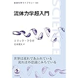 流体力学超入門 (岩波科学ライブラリー 323)