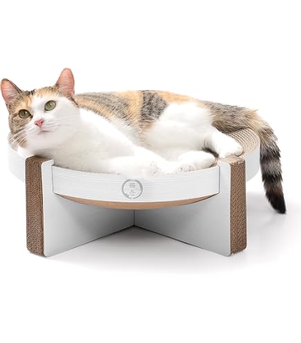Amazon | 猫壱 バリバリダイカット 猫のゆりかご mofusand 爪研ぎ