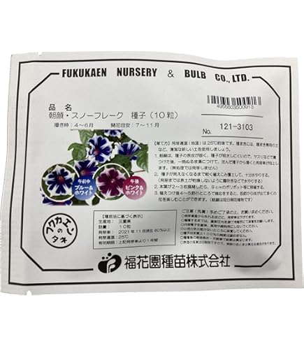 Amazon.co.jp: 朝顔の種 50粒 花 あさがお たね : DIY・工具