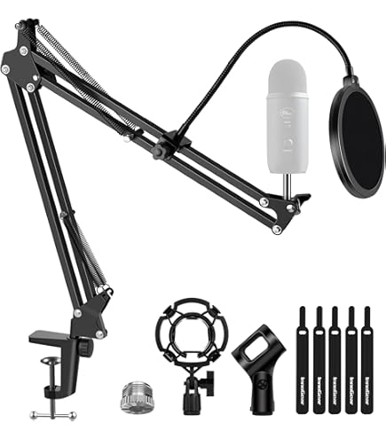 Amazon.co.jp: MXL 990 コンデンサー・マイクロフォン(ショック