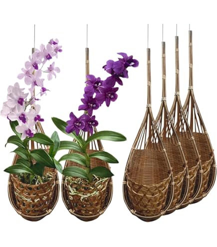 Amazon.co.jp: lanccona 蘭 ハンギングプランター 5インチ 6個パック