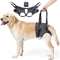 Amazon.co.jp: Cavoyo ペットカート 犬 カート バギー 4輪 大容量 耐
