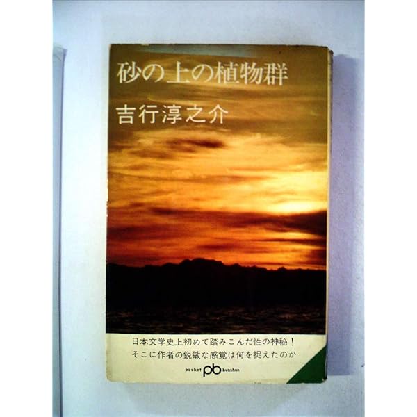 Amazon.co.jp: 吉行淳之介全集〈8〉星と月は天の穴.不意の出来事