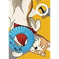 織田シナモン信長 1 BD [Blu-ray]