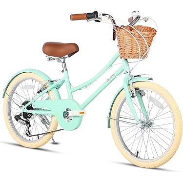 Amazon.co.jp 売れ筋ランキング: シティー・ファミリーサイクル の中で