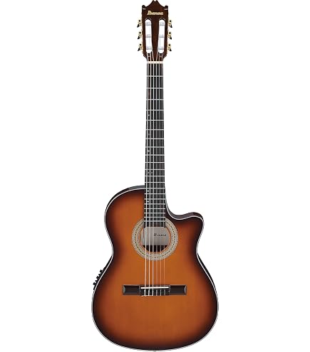 Amazon | Ibanez(アイバニーズ) エレガット Black Night High Gloss