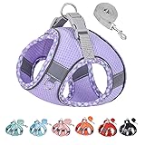 JHIFHG ペット用ハーネス犬 ハーネス超小型犬のハーネス 中型犬歩行、ランニング、トレーニングに便利な犬用ハーネスとベルトセット小型犬用ハーネス、小中型犬用ハーネス (M, パープル)