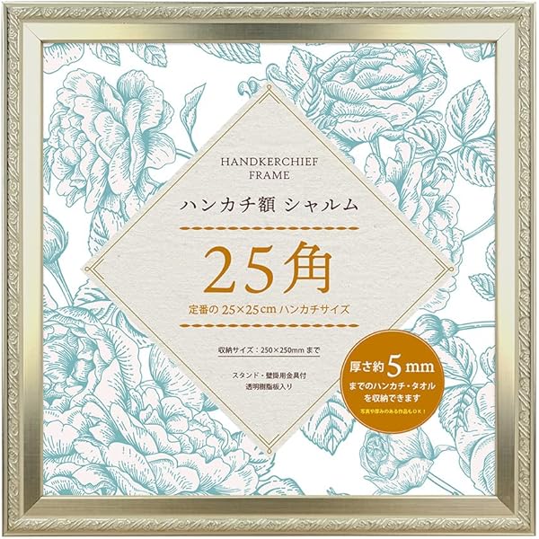 Amazon.co.jp: [フェイラー] 額 KS-251001 ホワイト FREE : ホーム