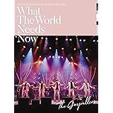 ゴスペラーズ坂ツアー2018〜2019 “What The World Needs Now"(通常盤) [DVD]