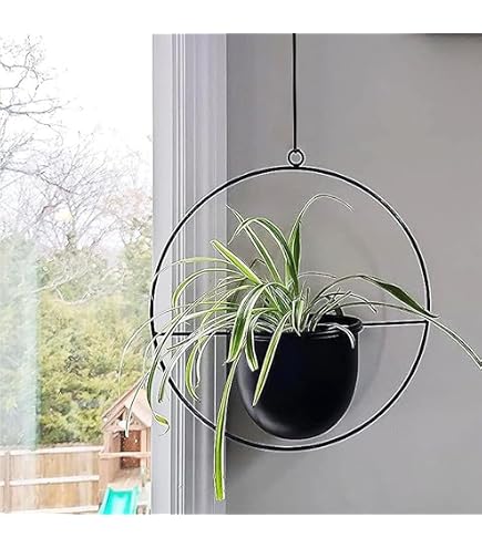 Amazon.co.jp: ハンギングプランター 植木鉢 吊りバスケット