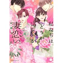 私たちはどうかしている 妻恋い(3) (BE LOVE KC) | 安藤 なつみ |本
