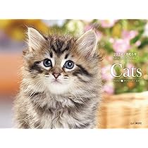 カレンダー2024 Cats（月めくり/壁掛け・リング） (ヤマケイカレンダー