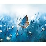 チョウ(蝶) Android(960×800)待ち受け Schmetterlinge 2023: Kalender チョウ(蝶) Android(960×800)待ち受け Schmetterlinge 2023: Kalender