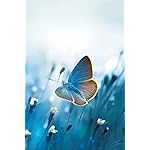 チョウ(蝶) iPhone(640×960)壁紙 Schmetterlinge 2023: Kalender チョウ(蝶) iPhone(640×960)壁紙 Schmetterlinge 2023: Kalender