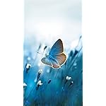 チョウ(蝶) QHD(540×960)壁紙 Schmetterlinge 2023: Kalender チョウ(蝶) QHD(540×960)壁紙 Schmetterlinge 2023: Kalender