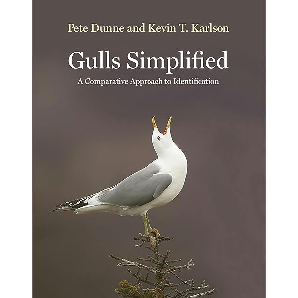 Amazon.co.jp: Gulls of Europe, Asia and North America : Olsen