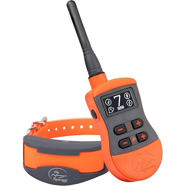 program sportdog remote