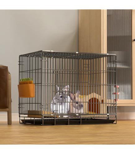 Amazon | □うさぎ はじめての飼育セット スターターセット（82×56
