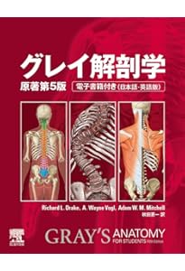 ネッター解剖学アトラス原書第7版　電子書籍付 ヨドバシ.com - ネッター解剖学アトラス（電子書籍付）（原書第7