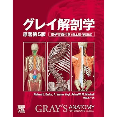 【まとめ買い】単品購入も可能 医学・解剖学関連書籍セット まとめ買い】単品購入も可能 医学・解剖学関連書籍セット