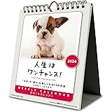 2024年 トライエックス 人生はワンチャンス！ カレンダー CL-387 /18×14cm・壁掛け卓上兼用