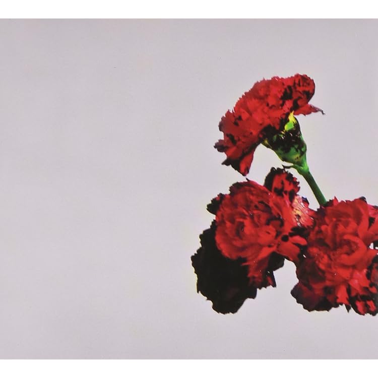 Amazon.co.jp: Once Again: ミュージック