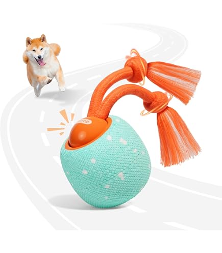 Amazon | Hoochii × Cheerble 犬自動ボール【2025新型登場】3モード
